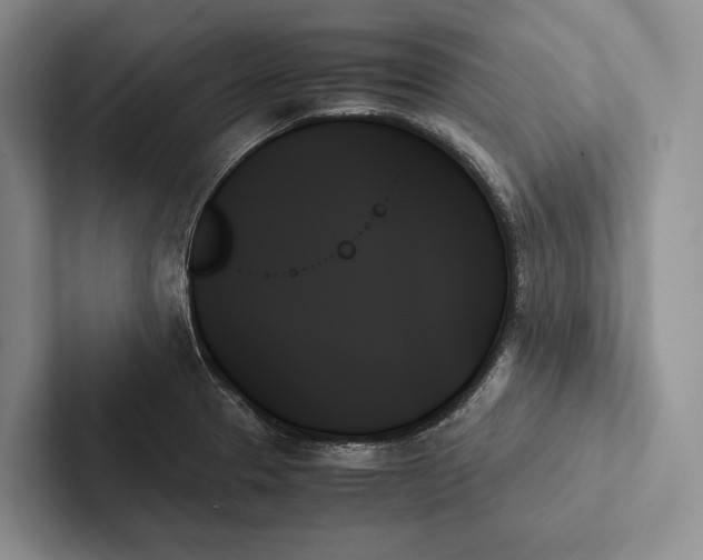 X0000103131329200809051600