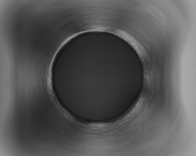 X0000103131332200809051600