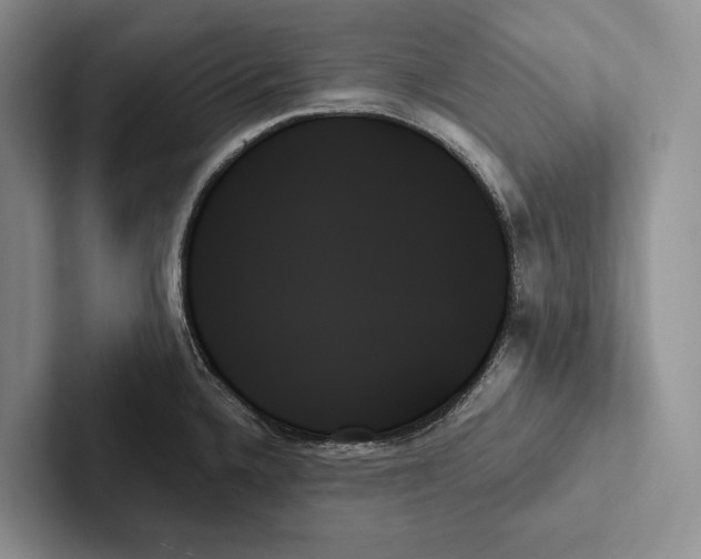 X0000103131336200809051601