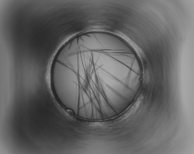 X0000103131341200809051601