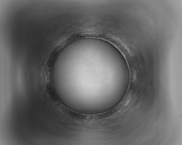 X0000103131350200809051600