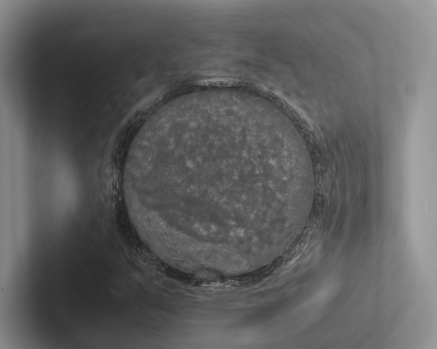 X0000103131351200809051600