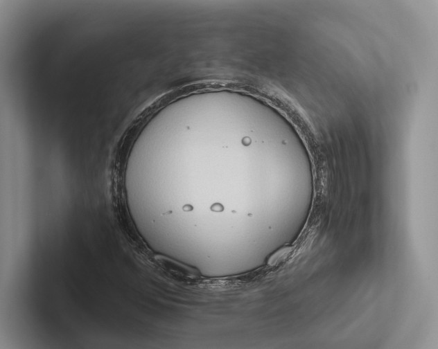 X0000103131352200809051600