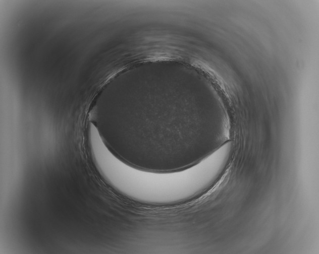 X0000103131353200809051600