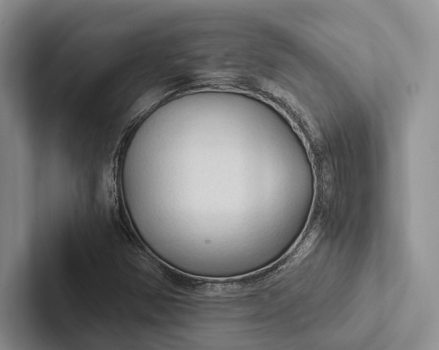 X0000103131354200809051600