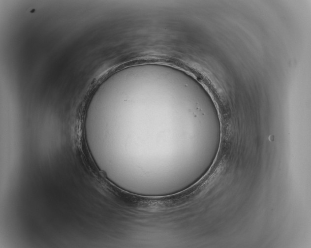 X0000103131355200809051600