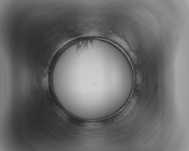 X0000103131356200809051600