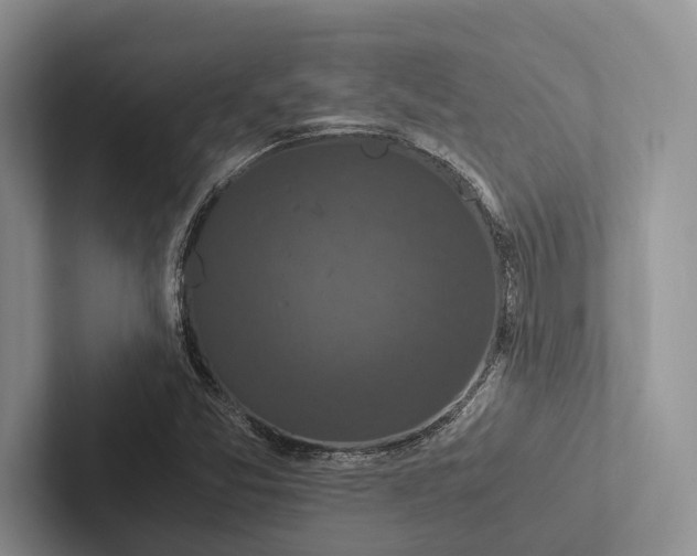 X0000103131357200809051600