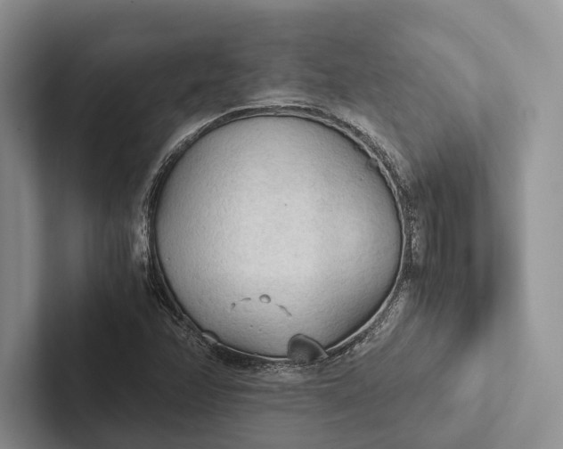 X0000103131358200809051600