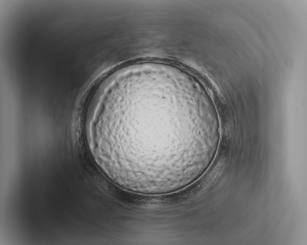 X0000103131359200809051600