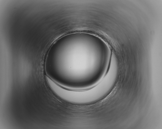 X0000103131361200809051600