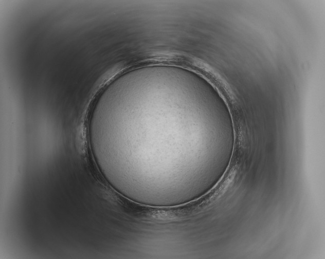 X0000103131362200809051600
