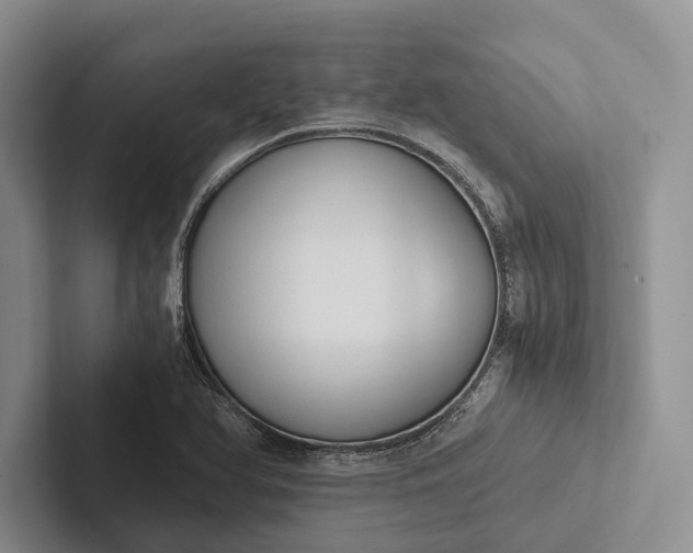 X0000103131366200809051600