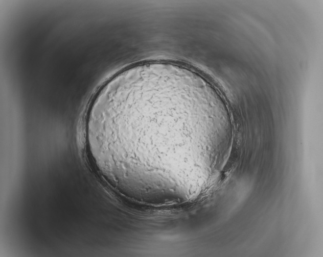 X0000103131367200809051600