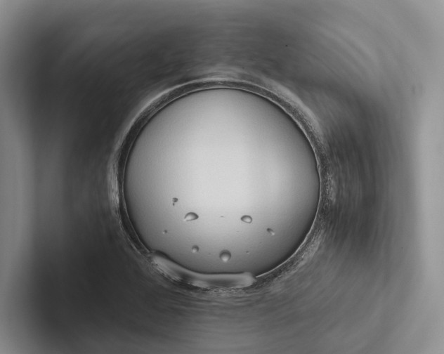 X0000103131368200809051600