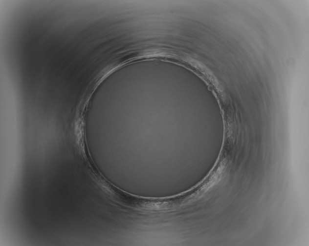X0000103131369200809051600
