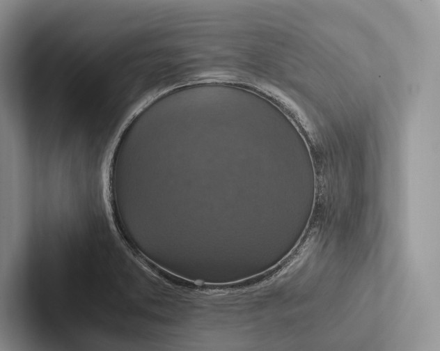 X0000103131373200809051600