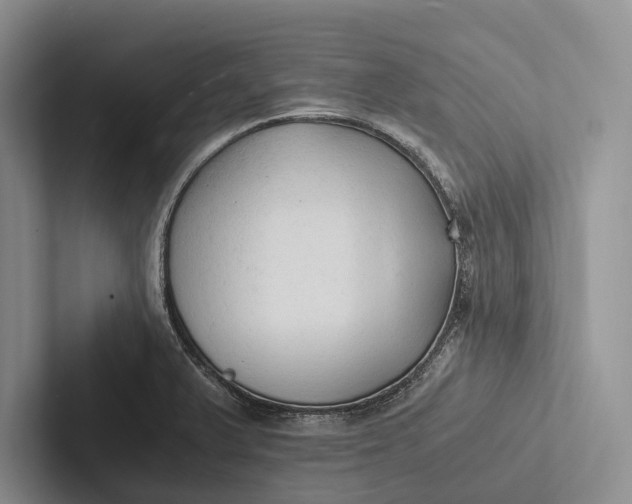 X0000103131375200809051600