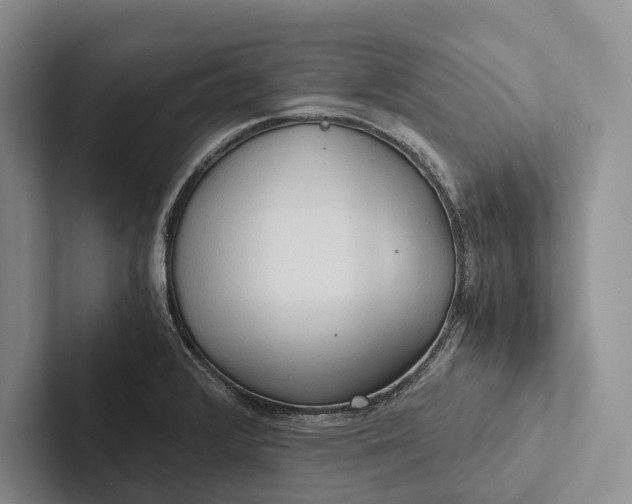 X0000103131376200809051559