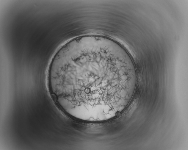X0000103131379200809051559