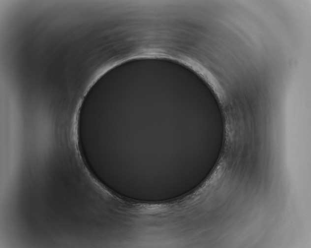 X0000103131382200809051559