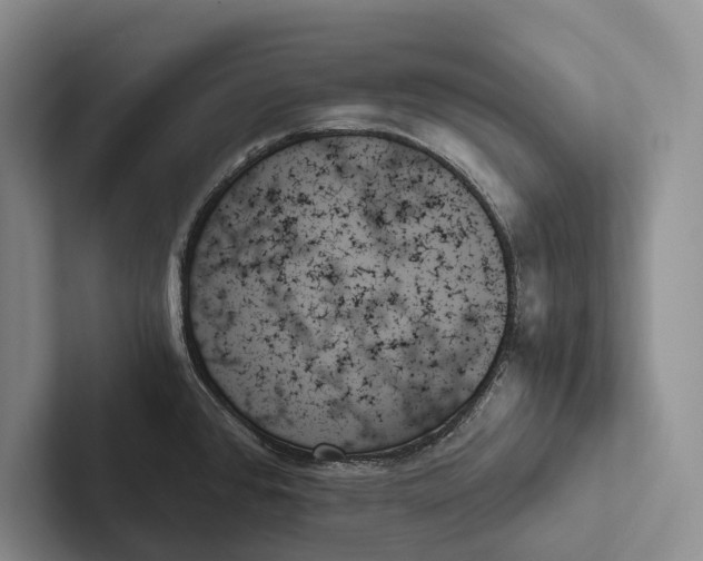 X0000103131384200809051559