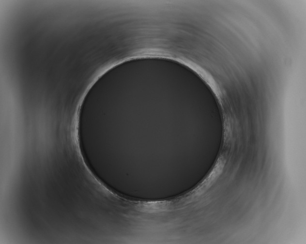 X0000103131390200809051559