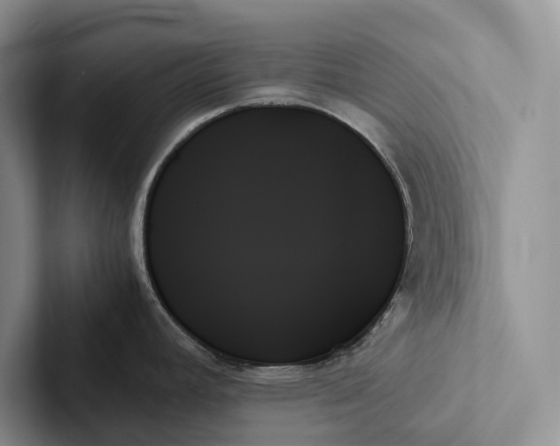 X0000103131392200809051559