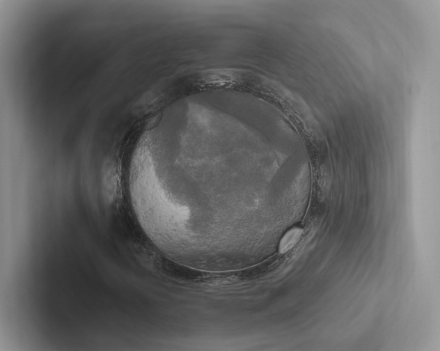 X0000103131394200809051559