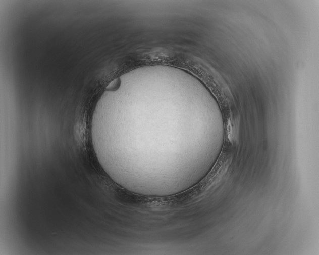 X0000103131395200809051559