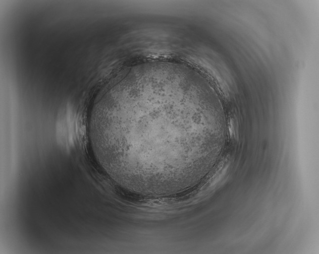 X0000103131396200809051559