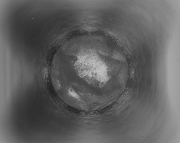 X0000103131397200809051559