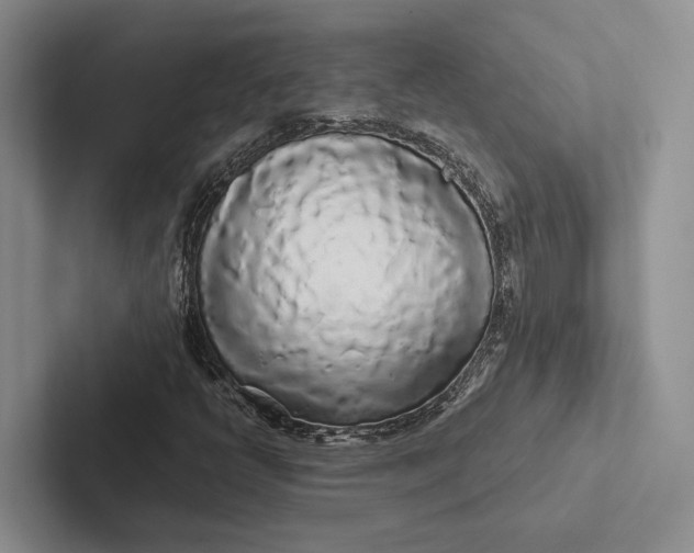 X0000103131398200809051559