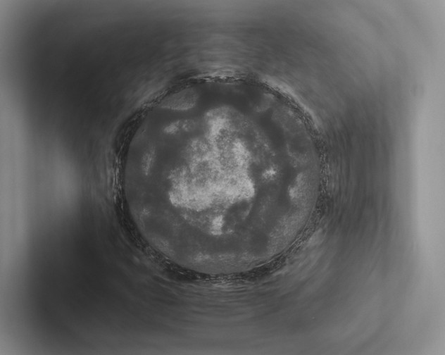 X0000103131399200809051559