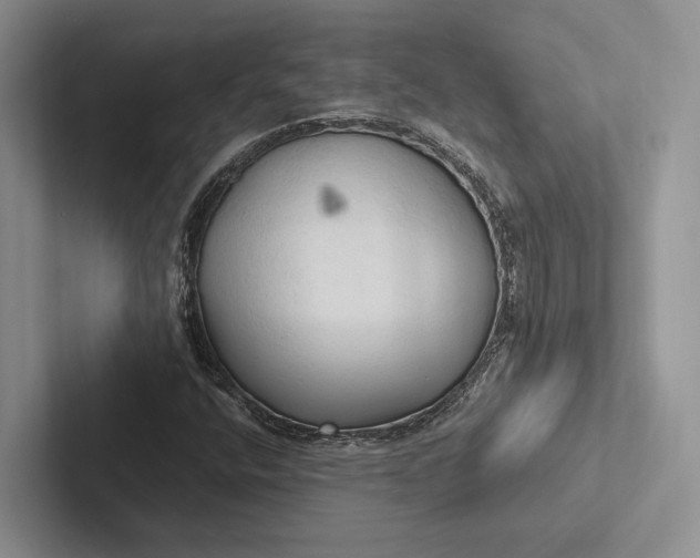 X0000103131400200809051559