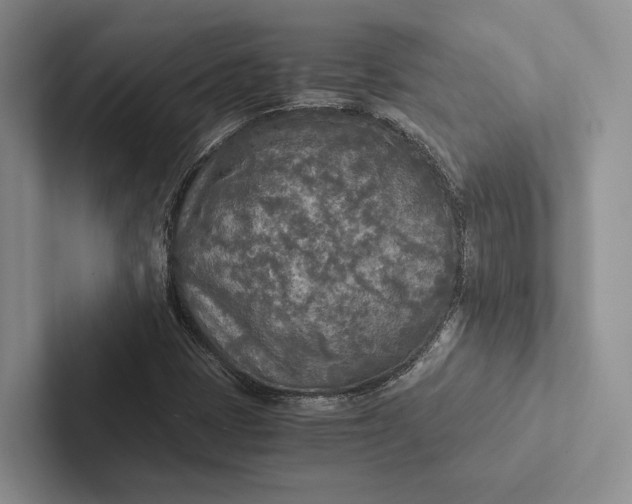 X0000103131401200809051559