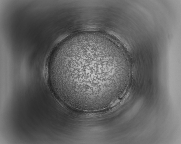 X0000103131402200809051559