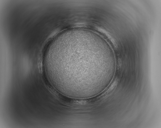 X0000103131403200809051559
