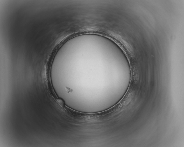 X0000103131404200809051559