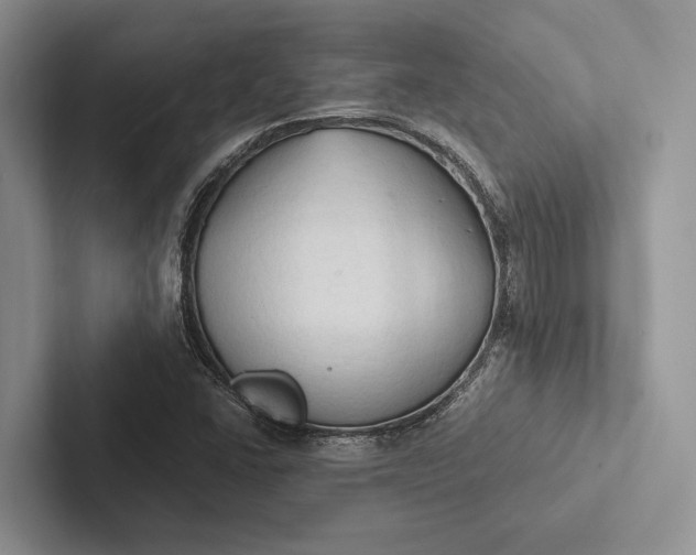 X0000103131406200809051559