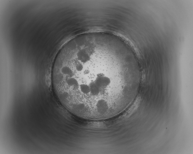 X0000103131409200809051559