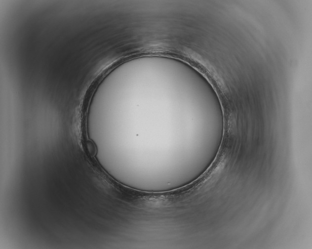 X0000103131410200809051559