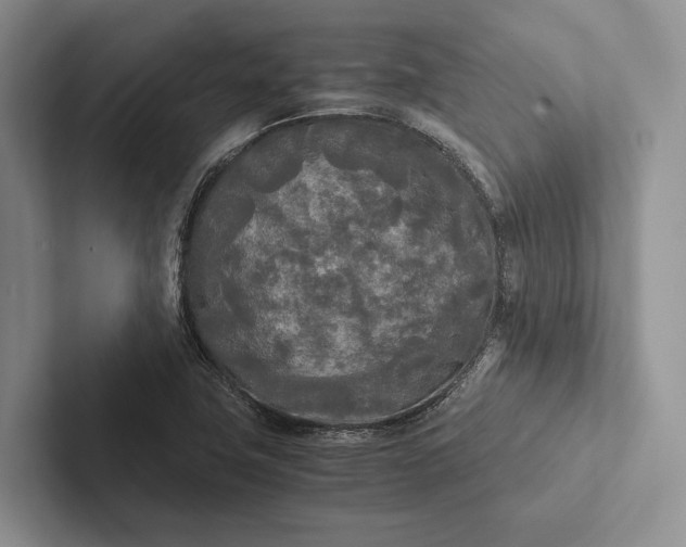 X0000103131411200809051559