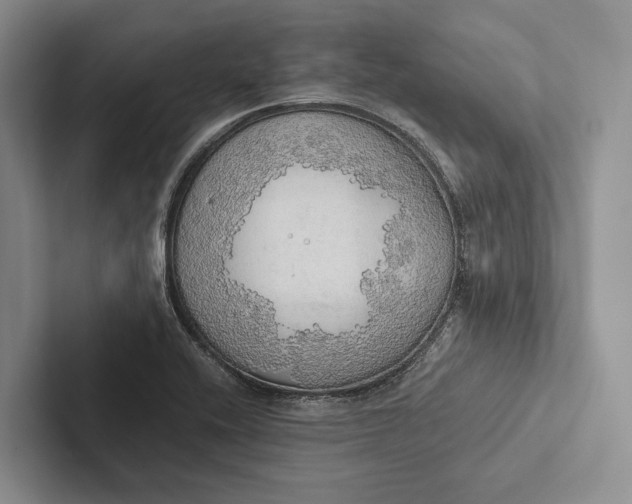 X0000103131416200809051559