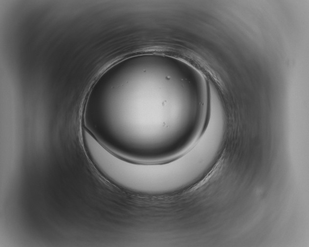 X0000103131417200809051559