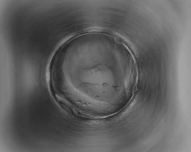 X0000103131418200809051559