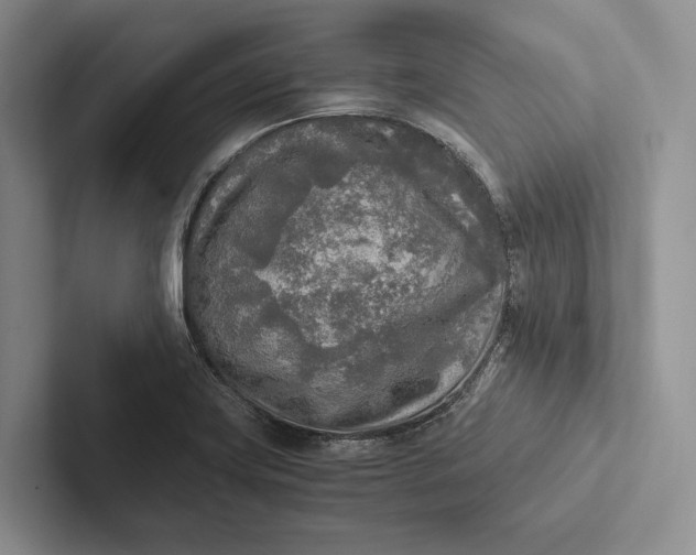 X0000103131419200809051559