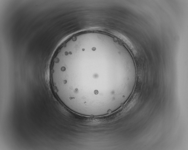 X0000103131420200809051559