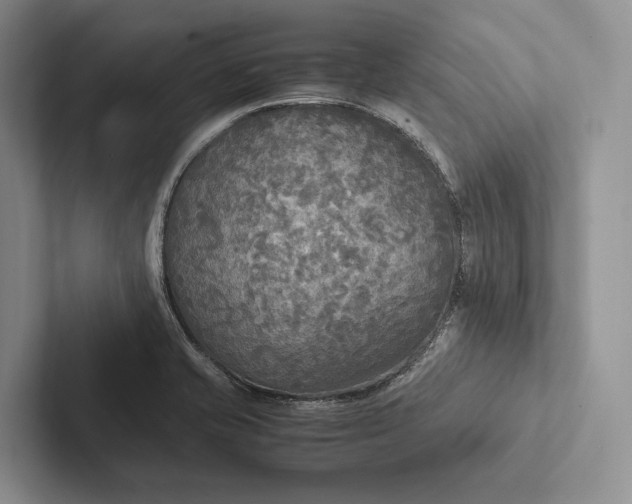 X0000103131421200809051559