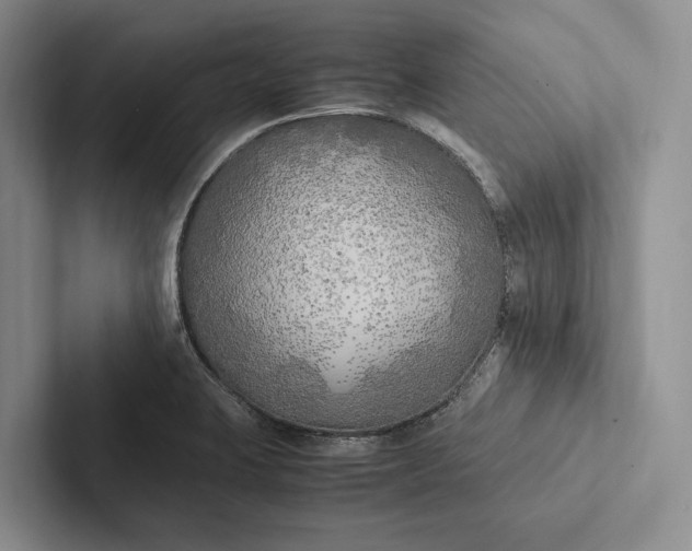 X0000103131423200809051559